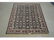 Iranian carpet Diba Carpet Bahar Cream Beige - high quality at the best price in Ukraine